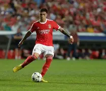 本菲卡2009年阵容推荐